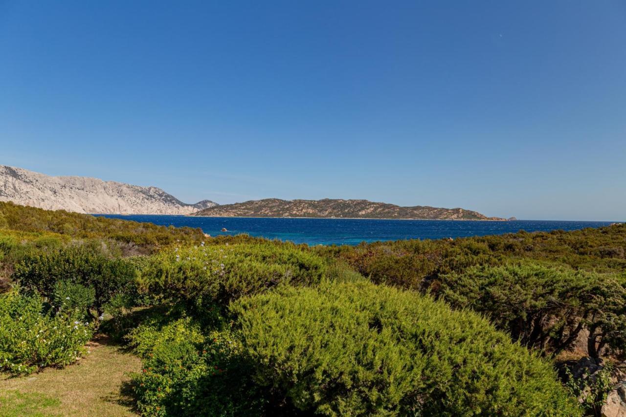 Appartamento Cala Paradiso San Teodoro  Bagian luar foto